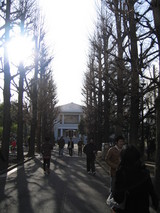 25e87217.jpg