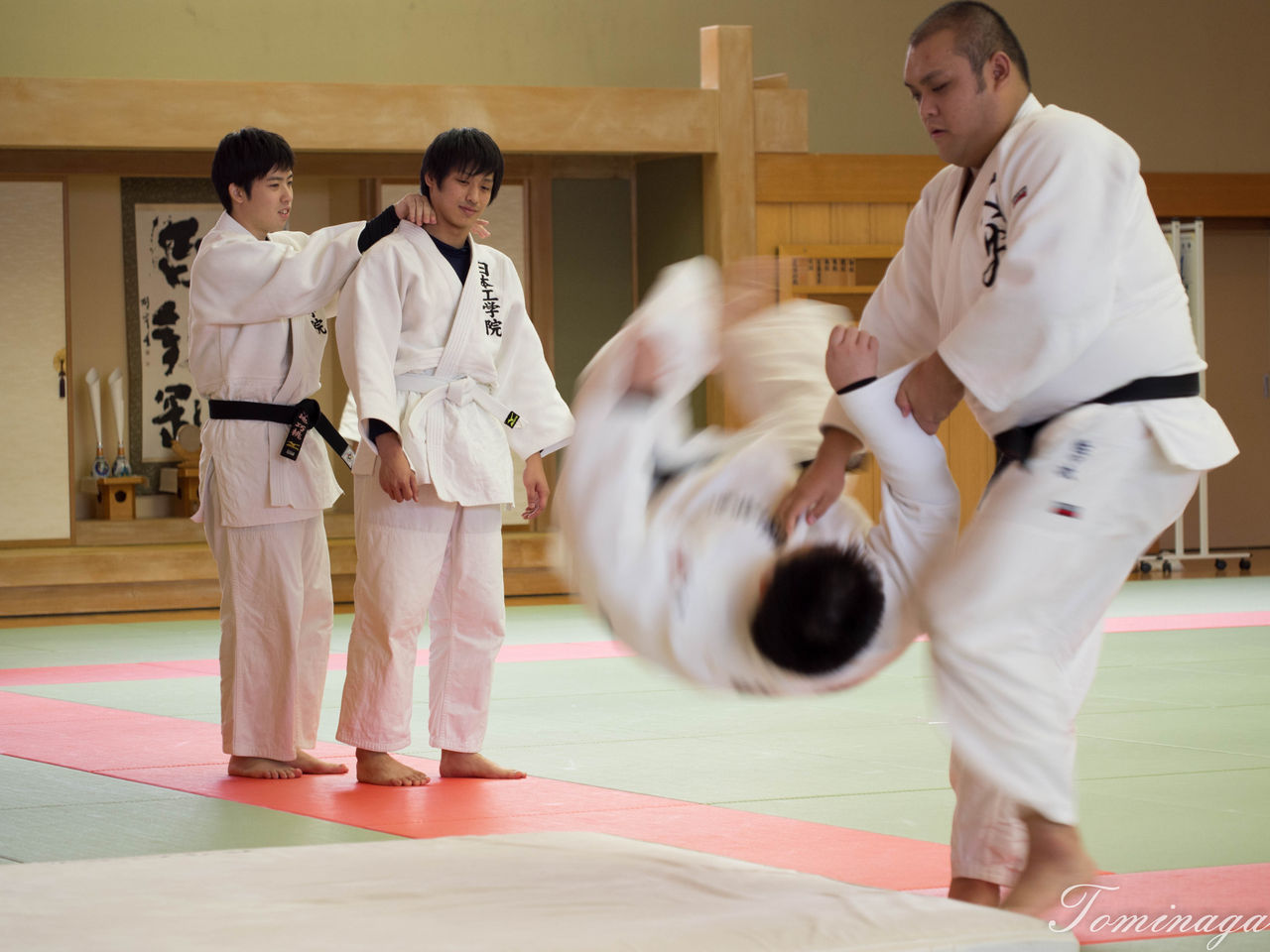 柔道整復科の柔道実技風景 : 柔道整復科BLOG