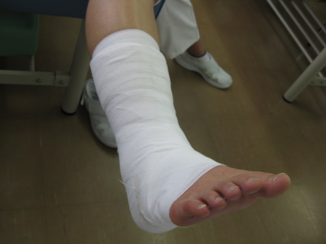 プライトン 柔道整復科blog