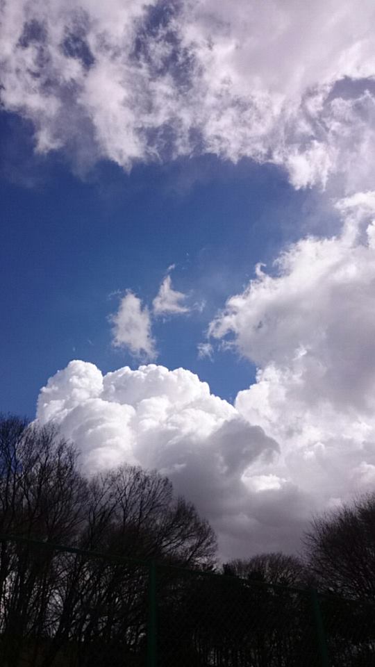 20150310八王子青空4