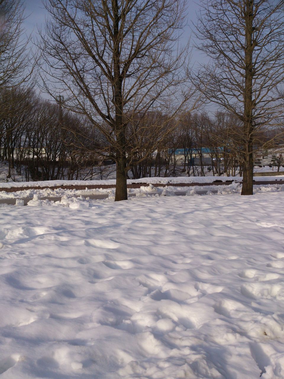 2014冬風景1