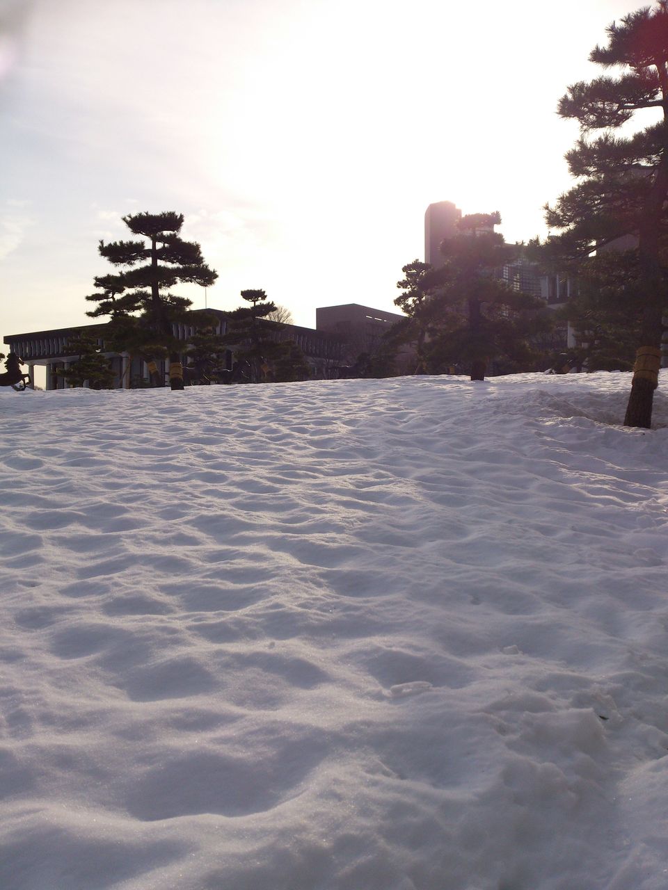 2014冬風景2