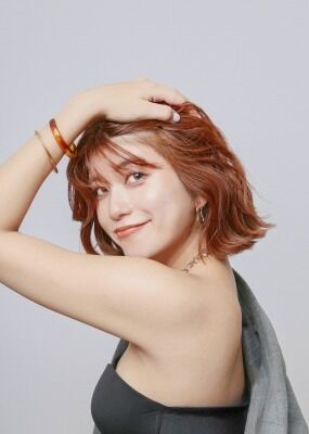 AKARI �̿�
