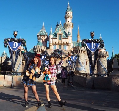 DL1