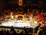 9bc037c2.JPG