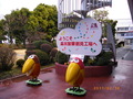 IMGP1094