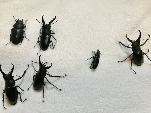 9220CDD0-3EE4-46B7-B02B-B8263090287B