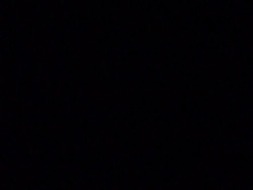 95