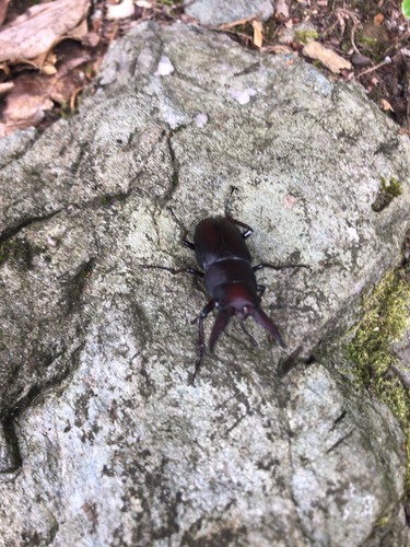 FBC5F14D-E77C-4963-826C-ABF8F6197291