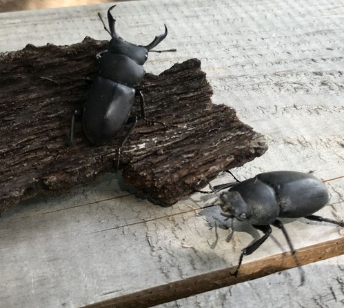 6106D326-1C50-47AF-882E-3C3C82A01F1F