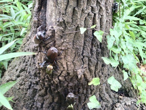 A2C07AAC-CD6E-4FBD-B301-3BFEA9AF1430