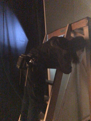 B8A8E691-6D3C-4A00-8C9E-137A399F3049