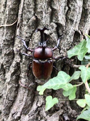 597FD153-11D5-415A-9293-22627BE6AD51