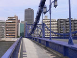081704