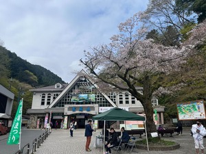 IMG_1998