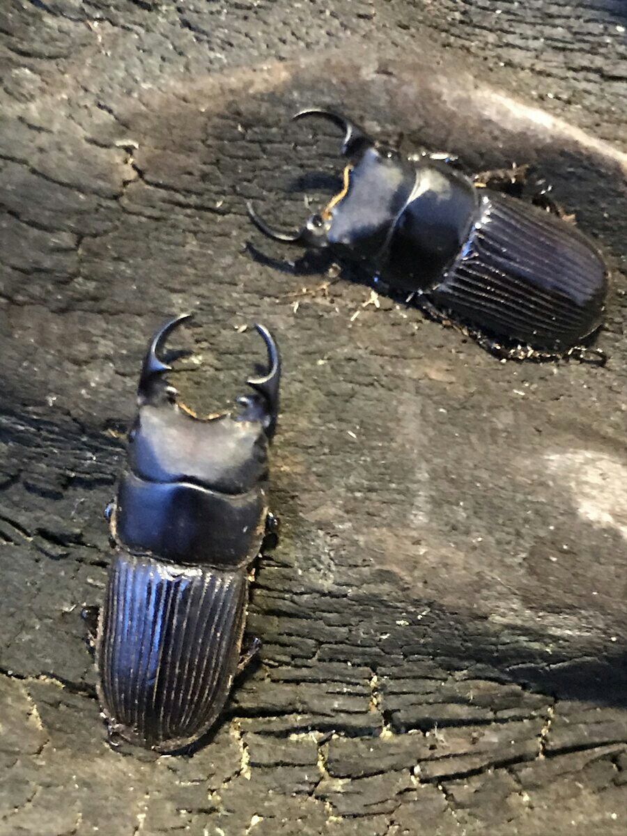 年01月 リンダのまったり趣味紀行