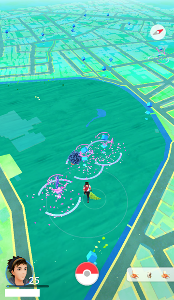 ポケモンgo攻略 ポケモンの巣 江古田の森公園のワンリキー具合 いい大人がポケモンgoに人生の１ページを捧げてみる