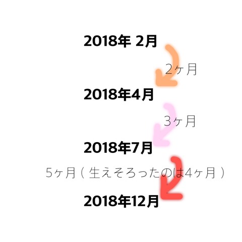 93AF647C-48F0-4C7C-976E-492706A1E62D