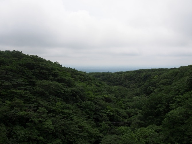 P7241842