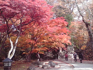 2013110912590000