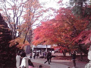 2013110912540000