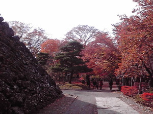 2013110913020000