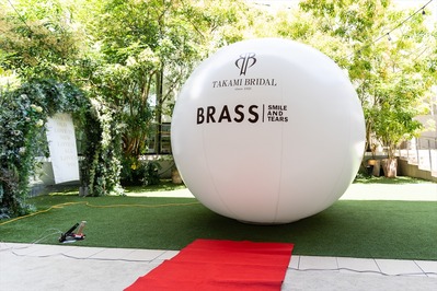 �椦�������W (51)