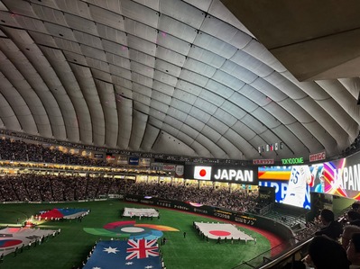 258bd849-0bd0-4074-9916-a414eaf631d0