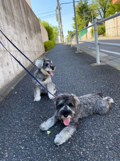 1D218EB8-4D68-4362-BE84-02C9C68D1873