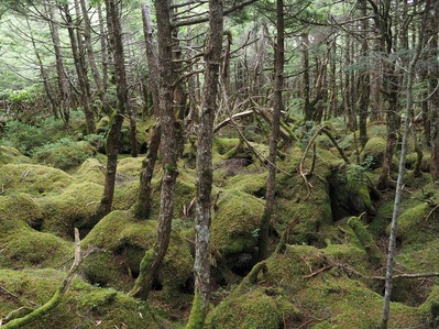 登山部 (22)_Ry