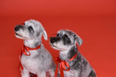 61667422-115d-4f6c-80ce-e05d5f1ec2b3