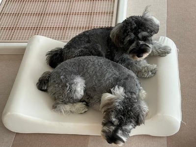 C9C1DE20-235D-498F-99E4-34817DDAD93E