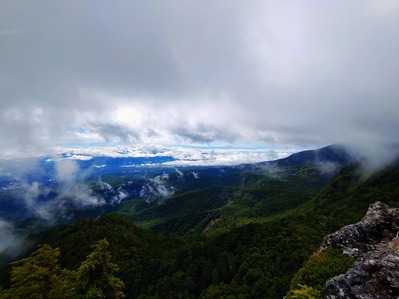 �л�����Ⱦ (24)_Rp