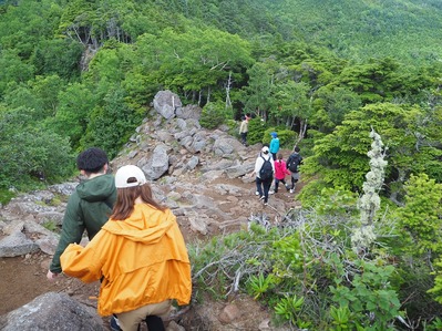 �л�����Ⱦ (26)_Rp