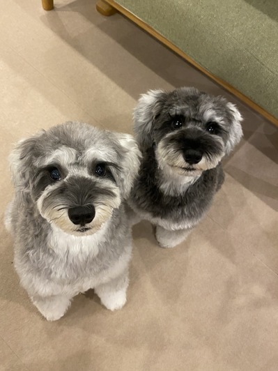 389F2B94-601B-479C-888B-D1F361B90B4B