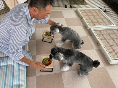 o0739055415029432613