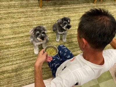 B1A0C639-0361-4BE8-88B0-66900F105959