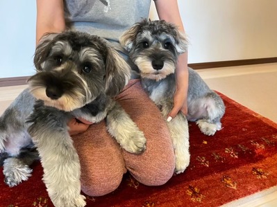 CD2872D7-3749-4002-AB9D-058DFA3656F7