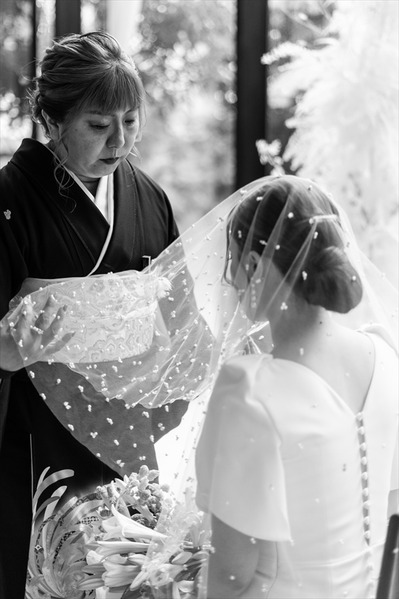 �椦�������W (29)