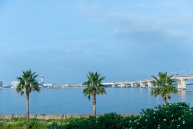 大和W (1)