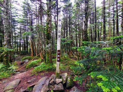 �л�����Ⱦ (30)_Rp