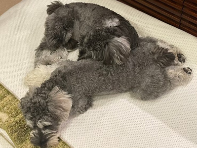 o0739055415044796228