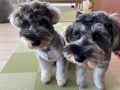 3F17A723-40D7-48E9-8084-55674620F7DE