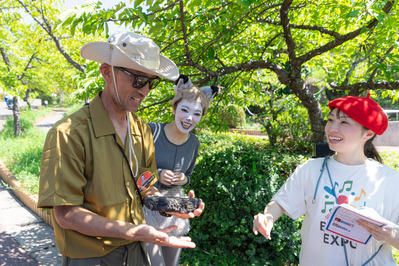 �����԰ְ�ι�� (44)