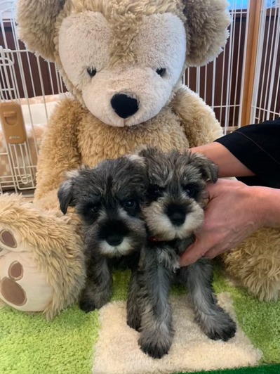 AC723865-6534-4DBC-B008-7B183668A2F9