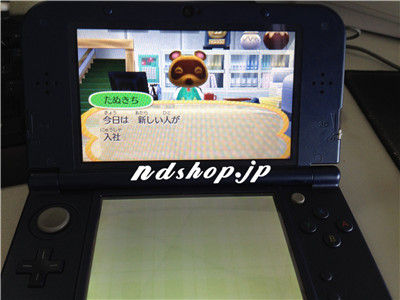 Pasta Cfw 1 3によりsky3dsで どうぶつの森 ハッピーホームデザイナー 動作確認 任 者のds情報屋