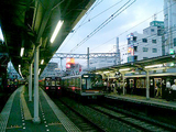 7069254e.jpg