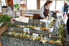 わさび売り
