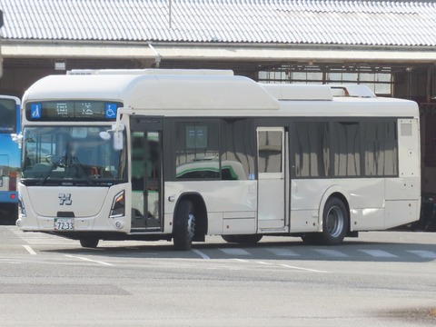 1b301f33-s.jpg
