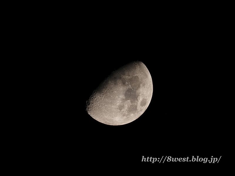 九夜月8.50